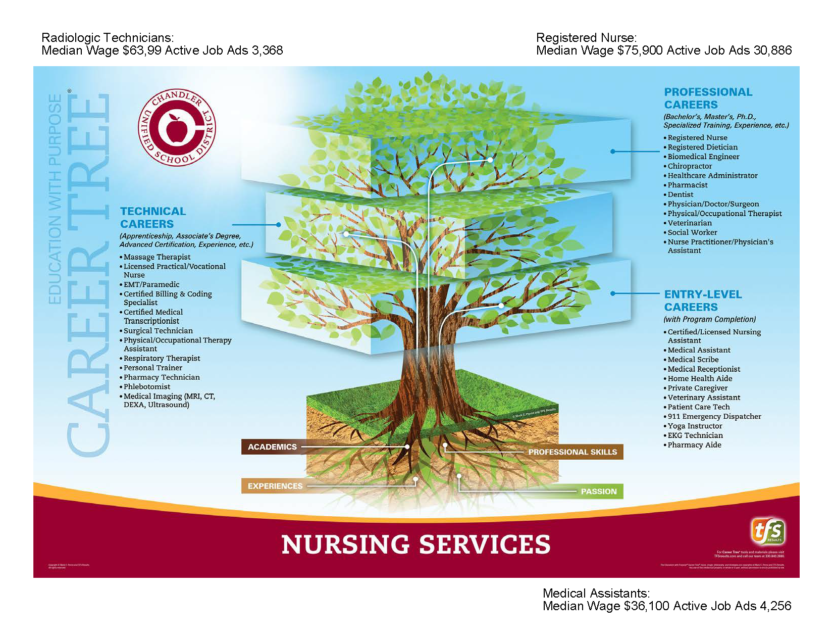 Click for Nursing Services Career Tree